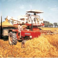 Farming a Relationship: India’s rural development agenda and the opportunity for Israel